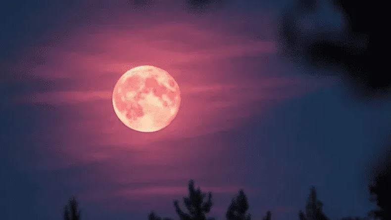 Luna rosa en abril cuándo se podrá ver este fenómeno El Día de