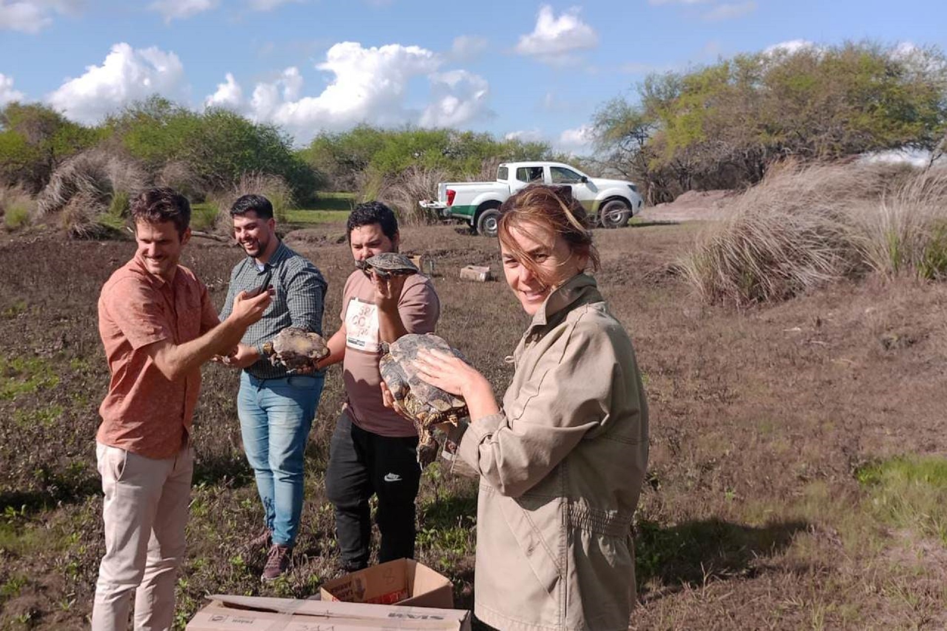 Reubicaron Tortugas Morrocoyo En Los Humedales De La Reserva El Potrero