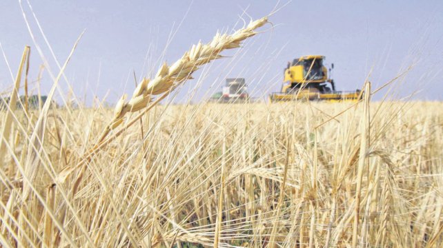 La Federación Agraria de Entre Ríos rechazó la extranjerización de tierras y advirtió por la crisis de las economí