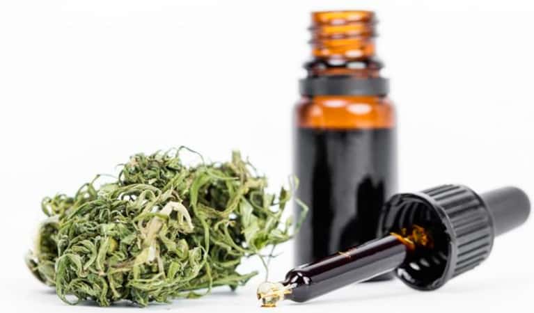 Jujuy producirá cannabis con finescientíficos, medicinales y terapéuticos