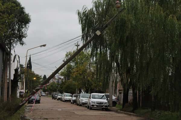Postes y árboles caídos, las consecuencias de la fuerte tormenta que azotó a la ciudad