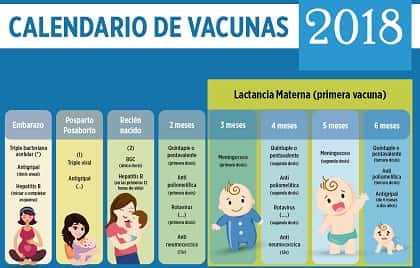 Consultá en los CAPS sobre el calendario nacional de vacunación