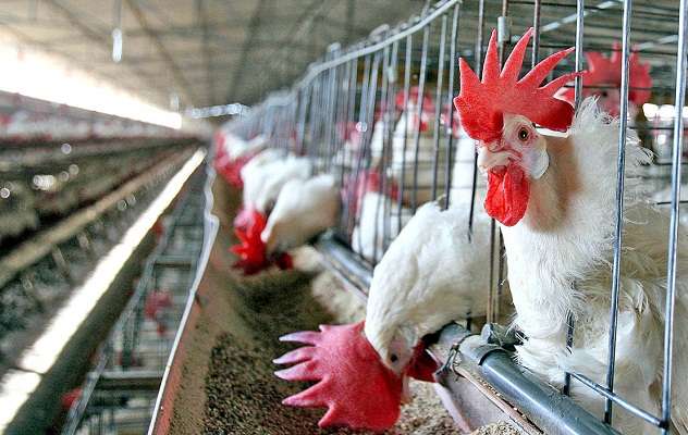 Sector productivo: destinarán $30 millones en créditos