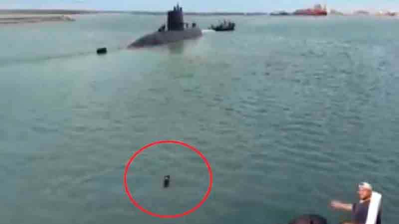 Conmovedor video: mirá a "Comando", el perro que sigue al submarino en el mar