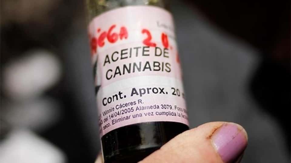 Diputados debatirá la adhesión a la Ley de Cannabis Medicinal