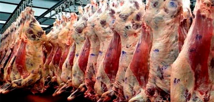 Las exportaciones de carne crecieron más del 40%: el papel de China