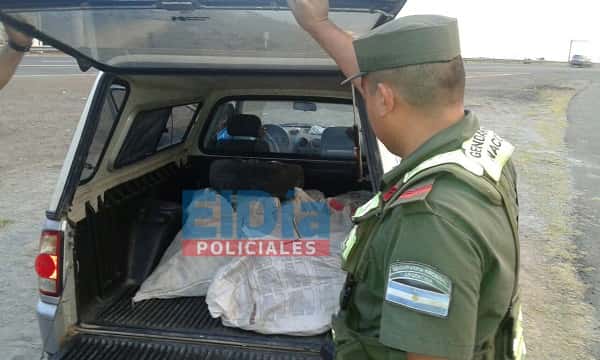 Importante secuestro de marihuana en Gualeguaychú: 250 kilos