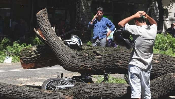 Un árbol cayó sobre un motociclista y lo mató