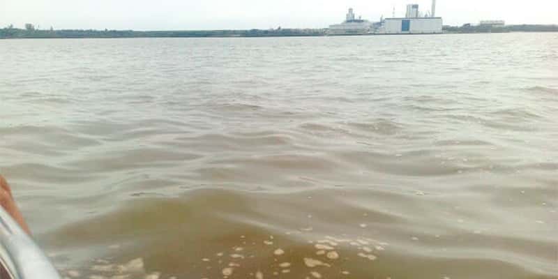 Argentina denunció que Brasil también contamina el río Uruguay
