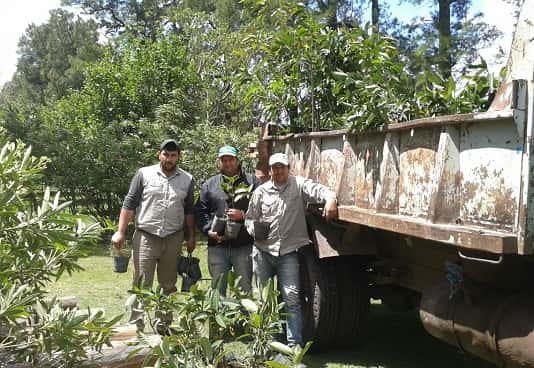 Se plantarán 130 árboles nativos en distintas zonas de Gualeguaychú