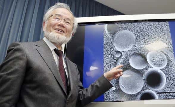Un japonés obtuvo el Premio Nobel de Medicina 2016