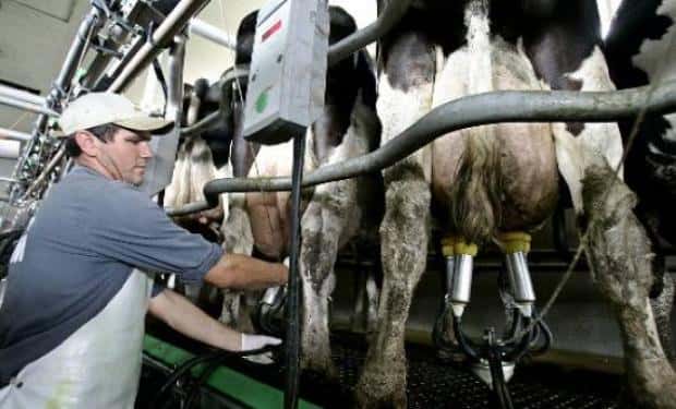Sectores productivos solicitan una mesa provincial de lechería 