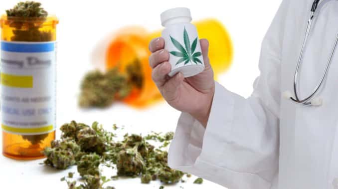 La lucha del médico que busca regular el uso medicinal de marihuana
