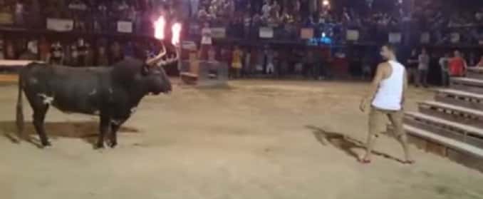 VIDEO: La venganza de un toro al que le prendieron fuego los cuernos