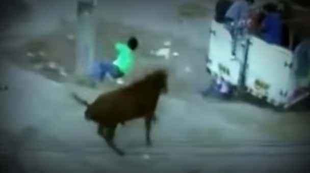 Video: Un peligroso encierro de toros deja seis heridos en Perú