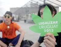 Uruguay tendrá su primer club legal de cannabis
