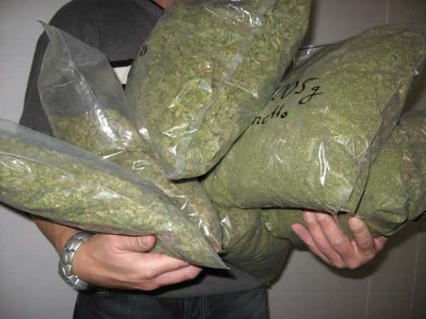 Gendarmería secuestró 132 kilos de marihuana y detuvo a siete personas