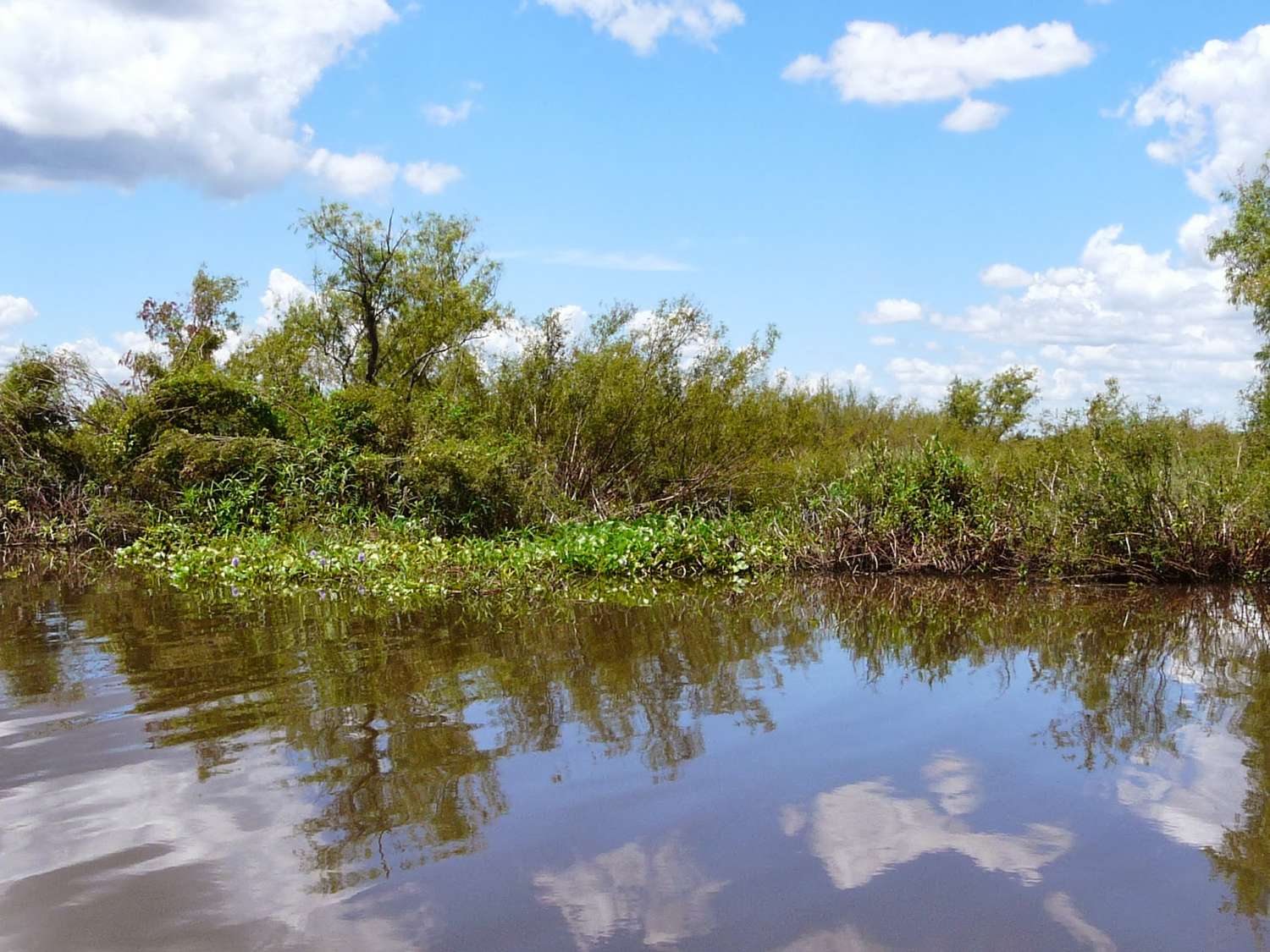 Ramsar: gestionan la inclusión del Humedal de la cuenca del Gualeguaychú 