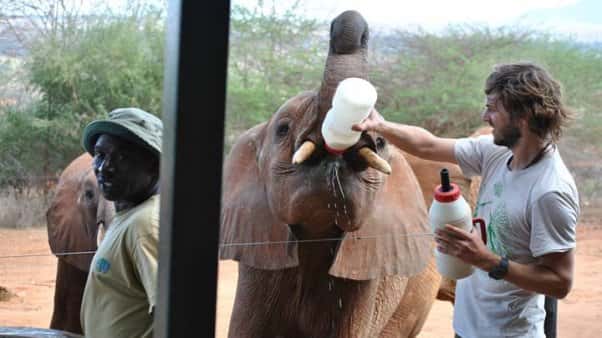 El veterinario argentino que dejó todo para curar elefantes en África