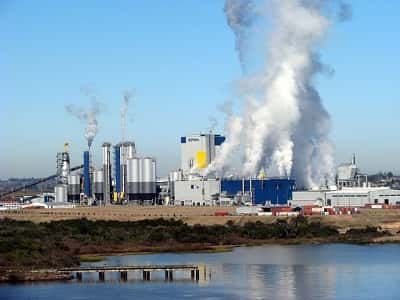 Botnia UPM arrojó en la zona miles de kilos de dióxido de azufre