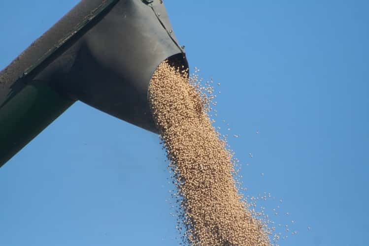 La producción de soja totalizaría casi 2,5 millones de toneladas