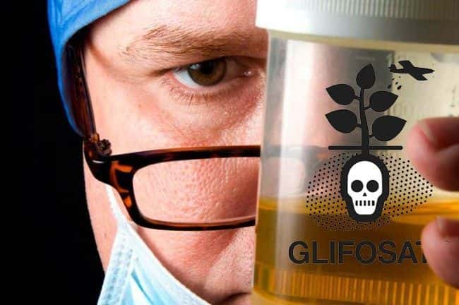 Publican una lista de alimentos y productos contaminados con Glifosato