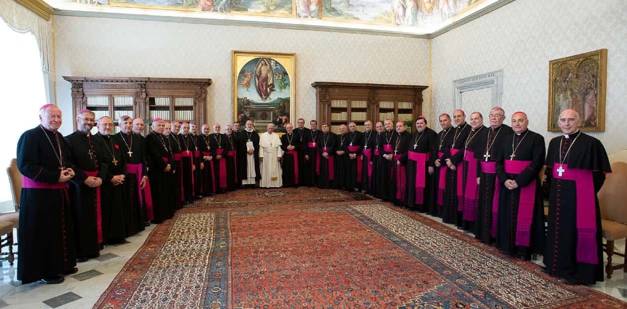 Amigos con el Papa en una misma vocación y misión