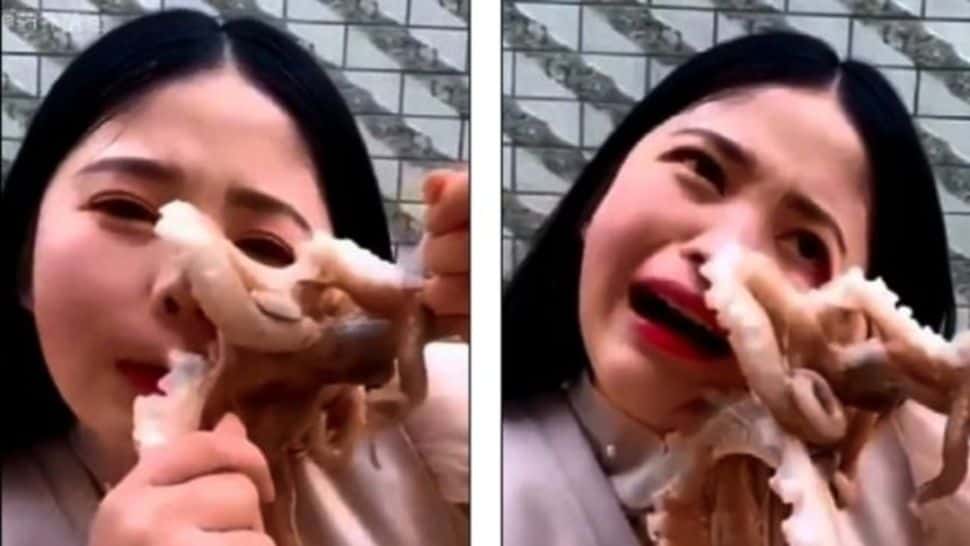 Una youtuber china intentó comerse a un pulpo vivo, pero casi se la comen a ella