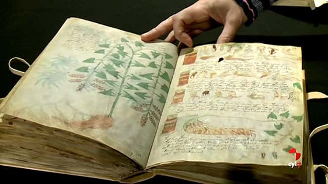 Afirman descubrir los secretos del manuscrito Voynich, el libro más misterioso de la historia