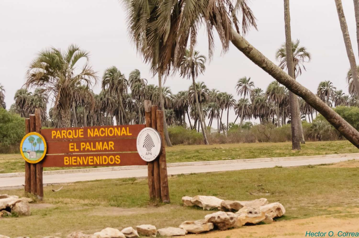 Lanzaron programas ambientales en el Parque El Palmar 