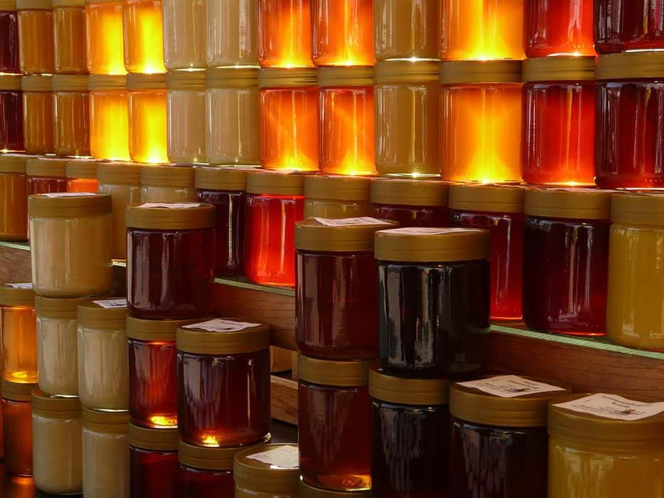 Apicultores uruguayos tienen 12.000.000 kilos de miel "de clavo" por el glifosato