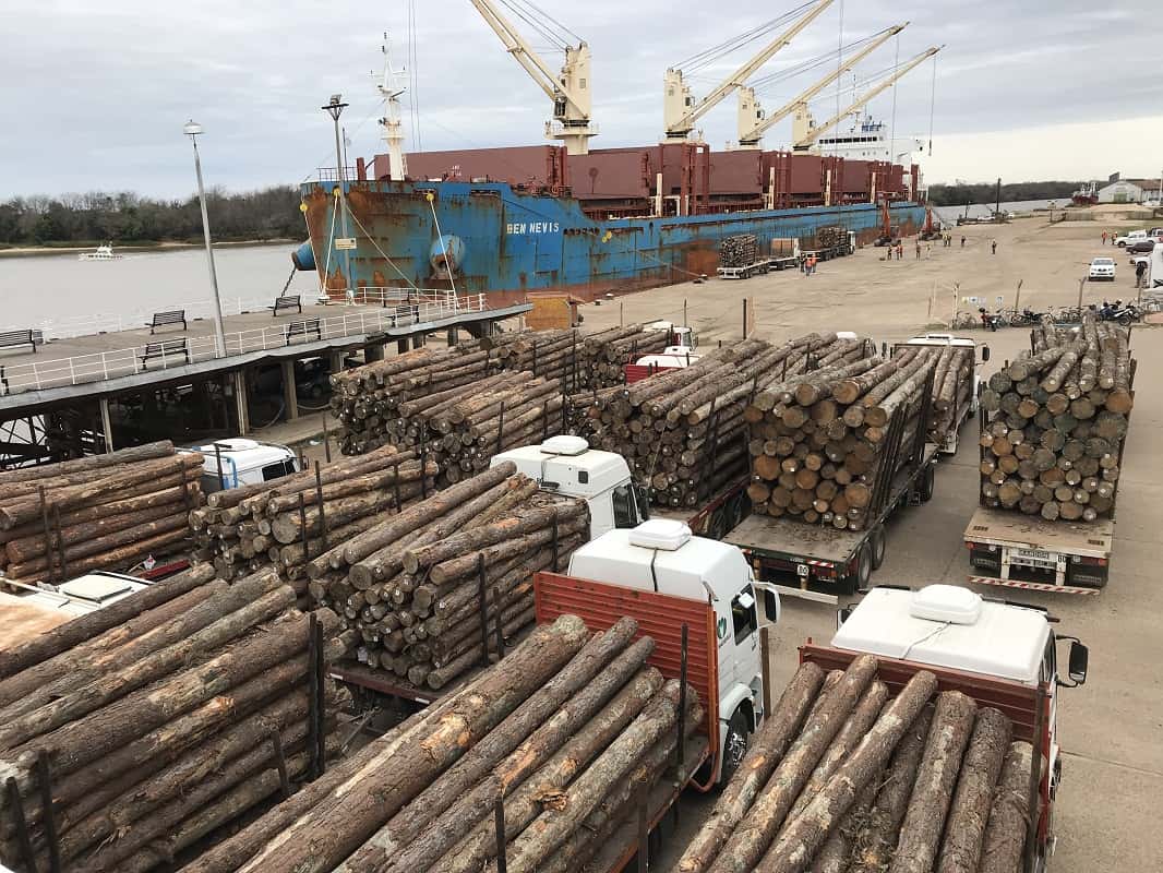Se realiza una nueva exportación de madera desde el puerto de Concepción del Uruguay