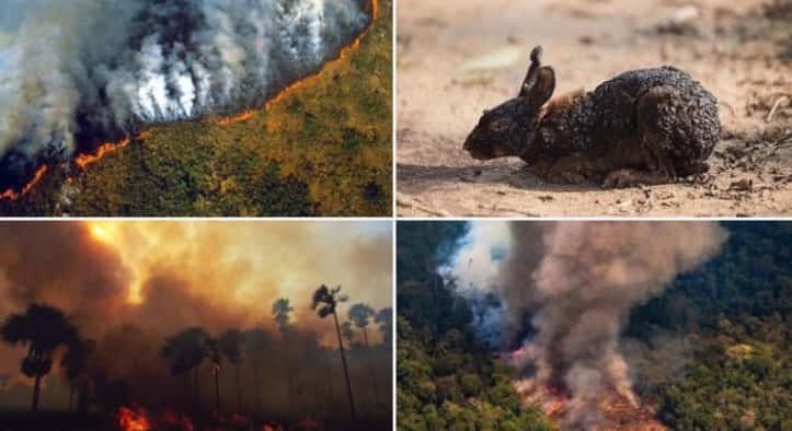 Bronca en las redes por la poca cobertura al incendio en el Amazonas comparado con Notre Dame