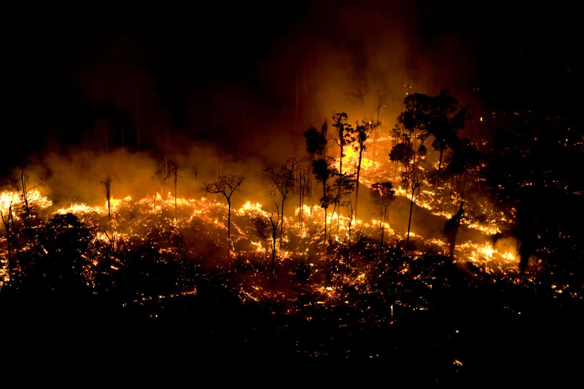 Incendio en el Amazonas: Siete claves para entender el drama del que habla el mundo