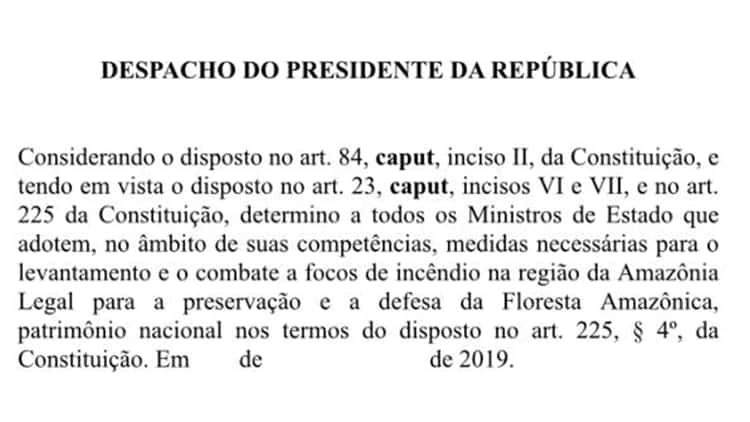 Tras las duras críticas globales, Bolsonaro pidió tomar "las medidas necesarias"