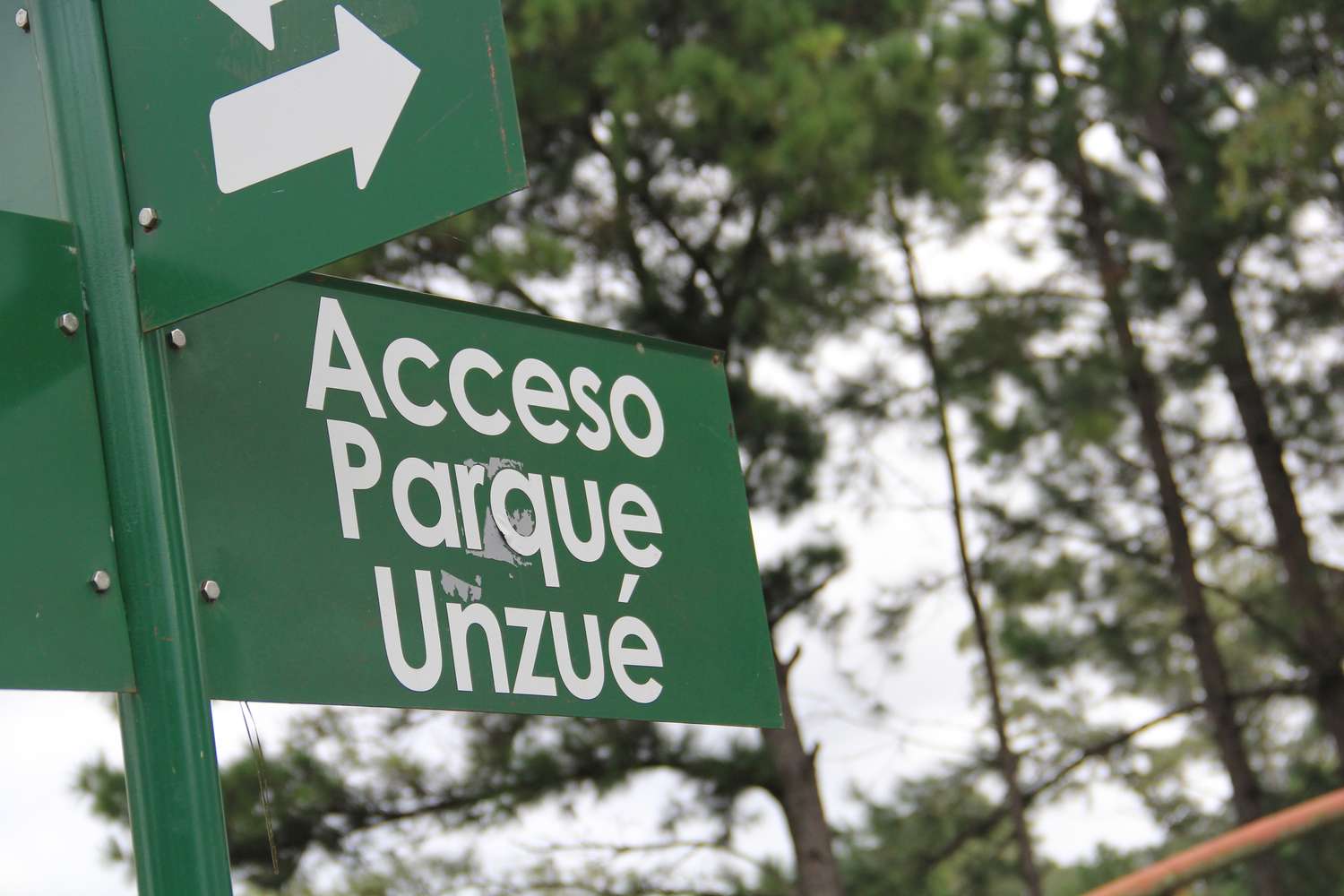 Convocan a formar con telas blancas la palabra "Amazonía" en el parque Unzué