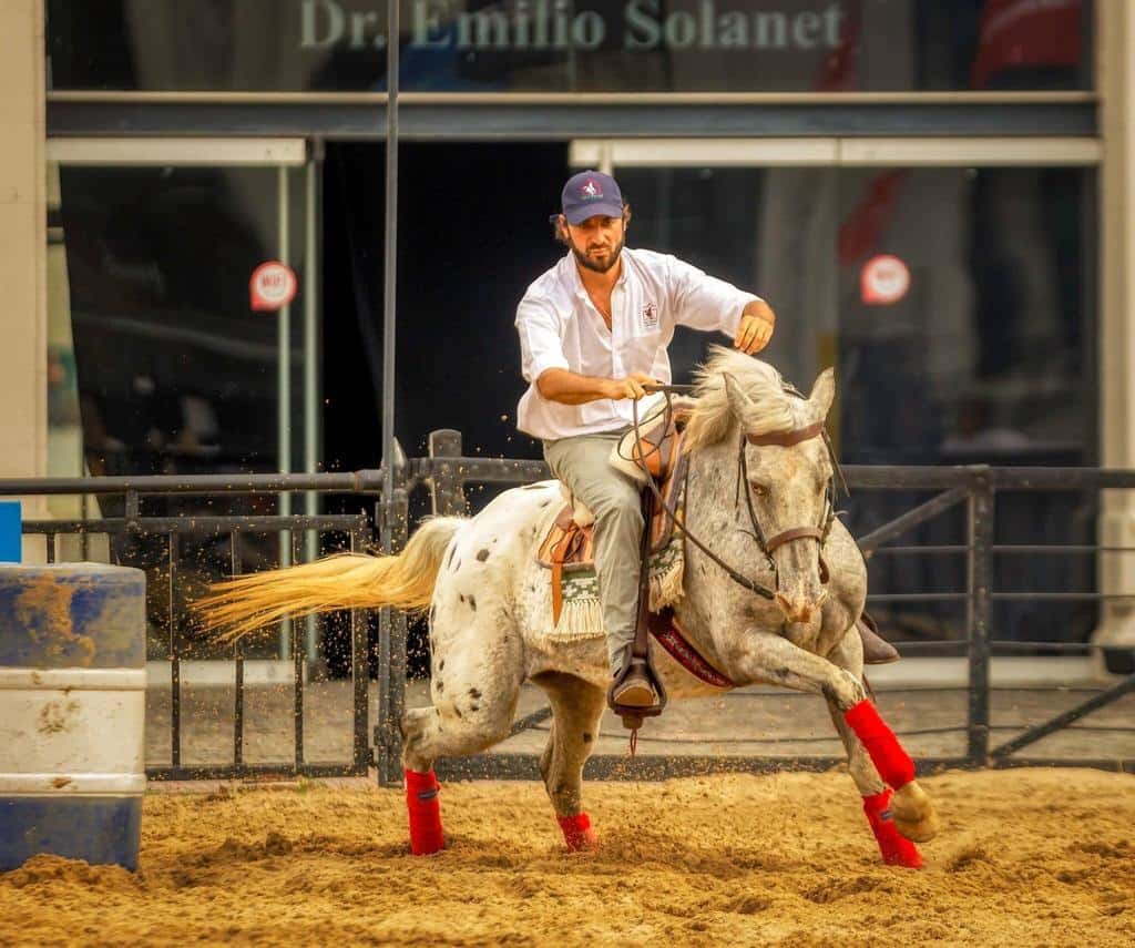 Las pruebas de Appaloosa y caballos criollos le darán vida a la Expo Rural