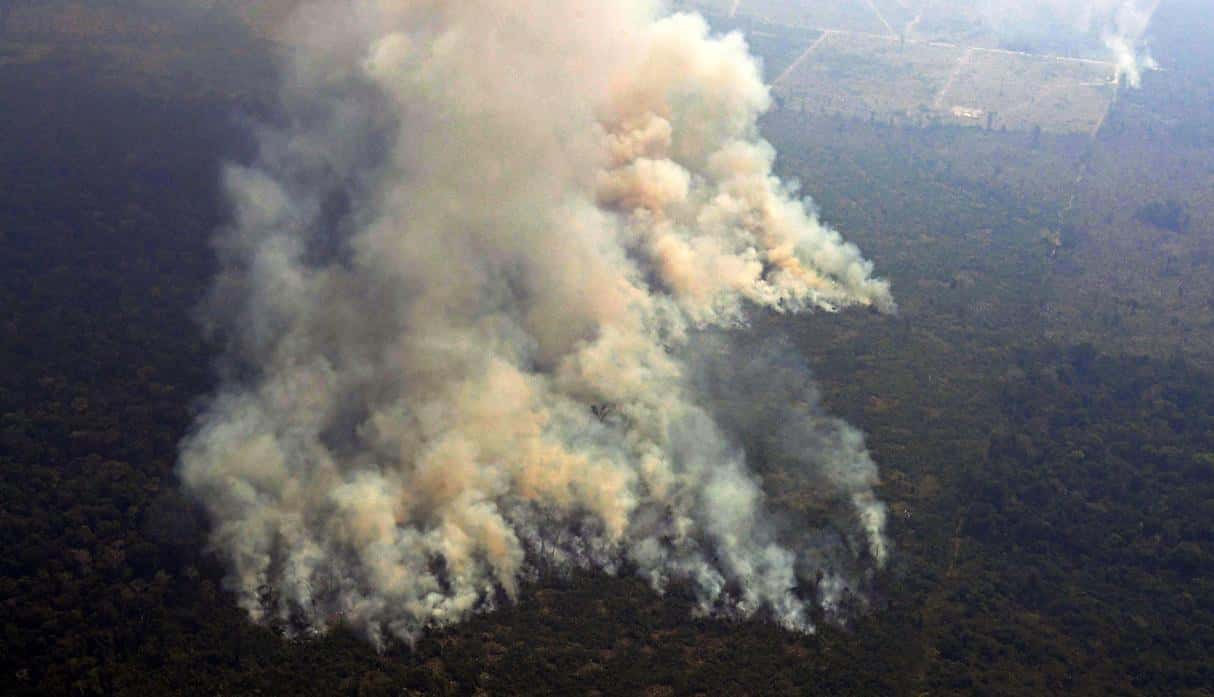 Incendios en el Amazonas: se queman tres canchas de fútbol por minuto