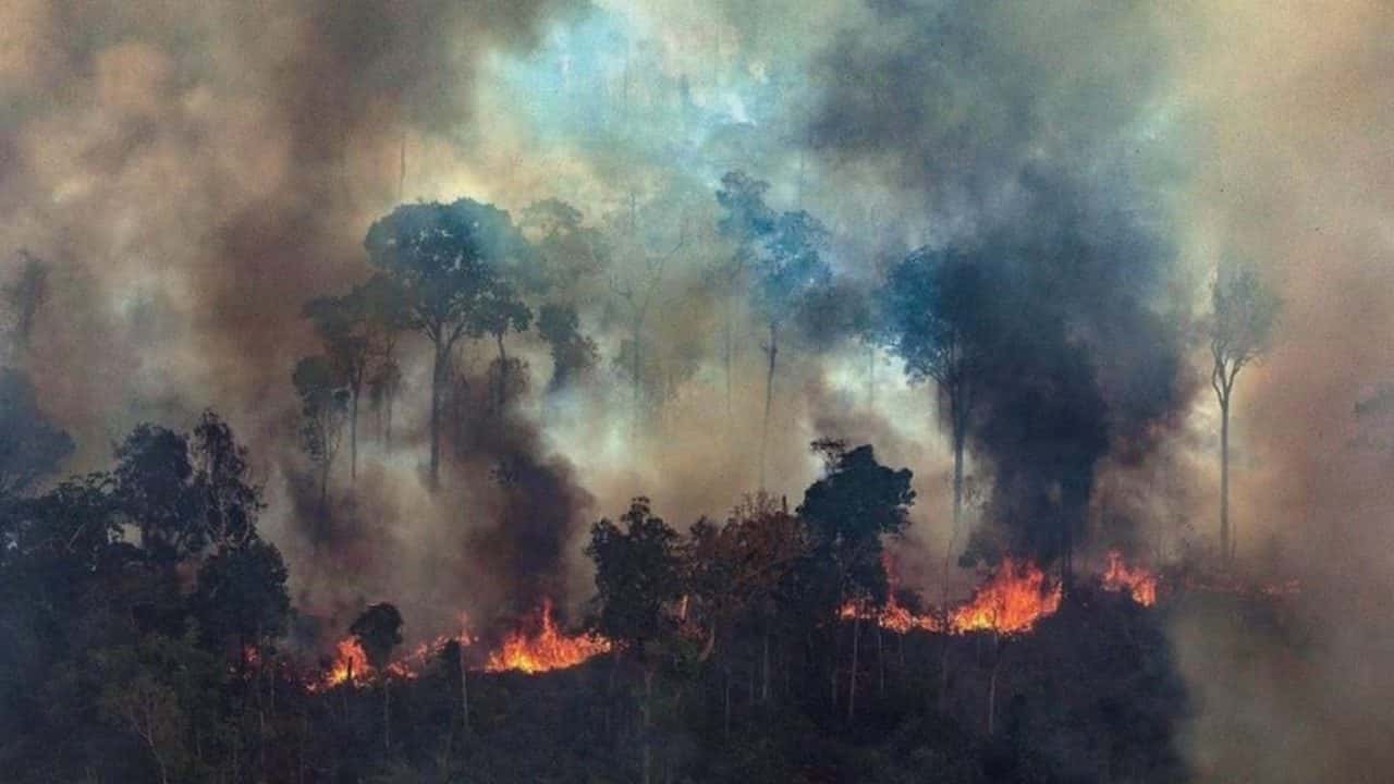 El humo proveniente del Amazonas ya cubre gran parte de Entre Ríos