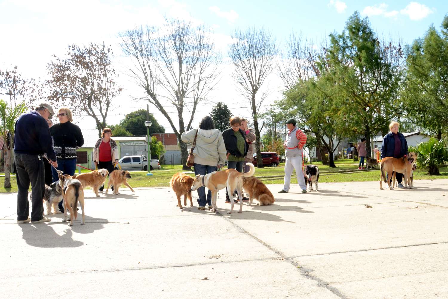 Pueblo Belgrano lanzó una campaña de tenencia responsable de mascotas
