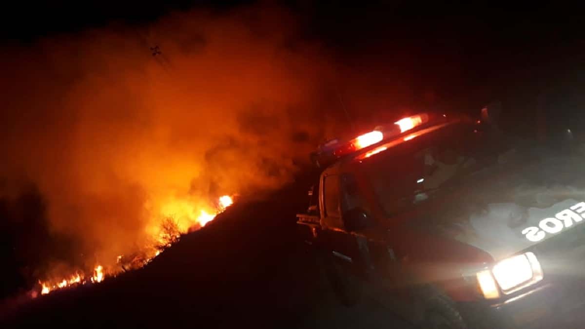 Incendio forestal en Ruta 12: los bomberos tardaron horas en apagarlo