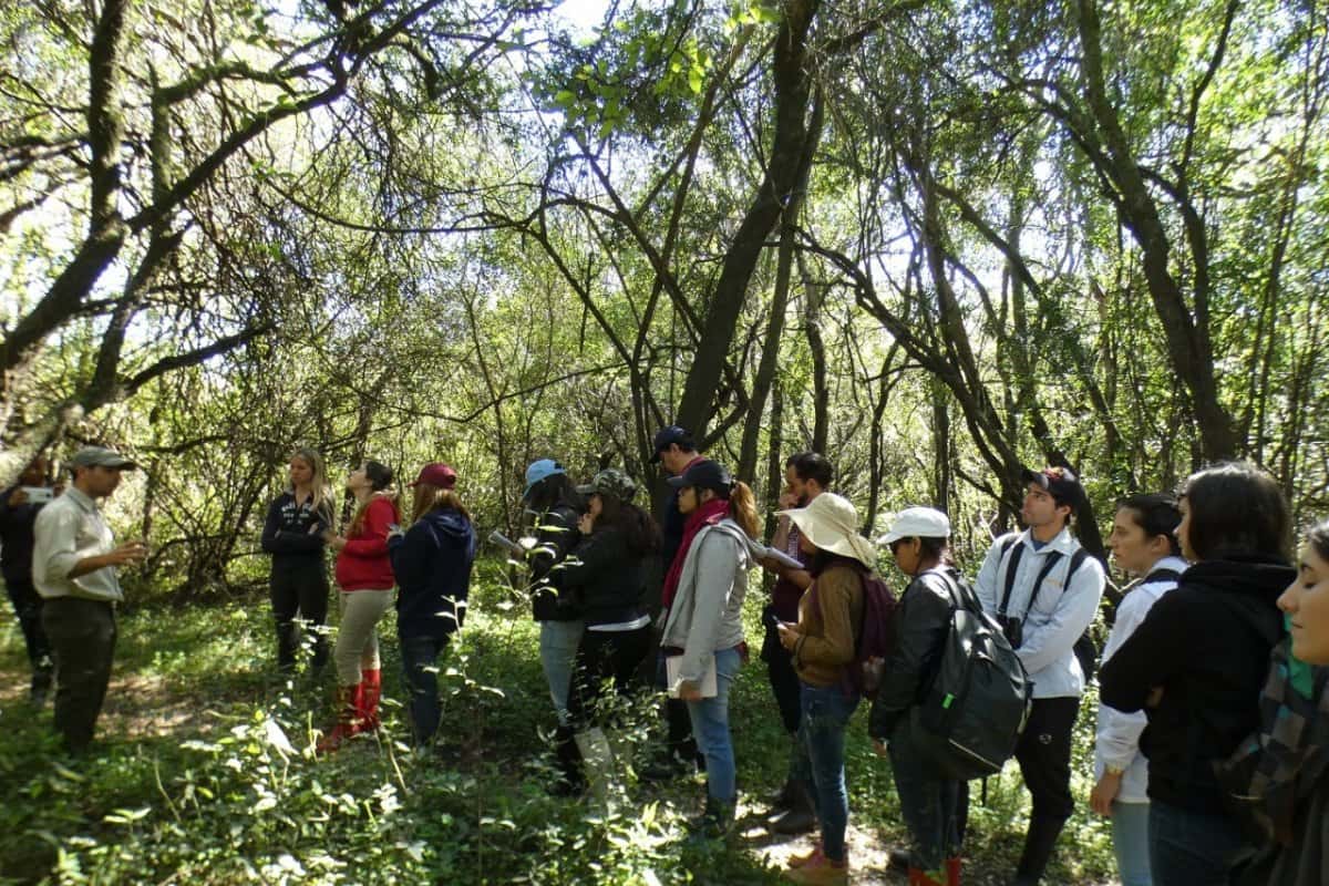  La Universidad de Buenos Aires estudia las reservas naturales de Gualeguaychú