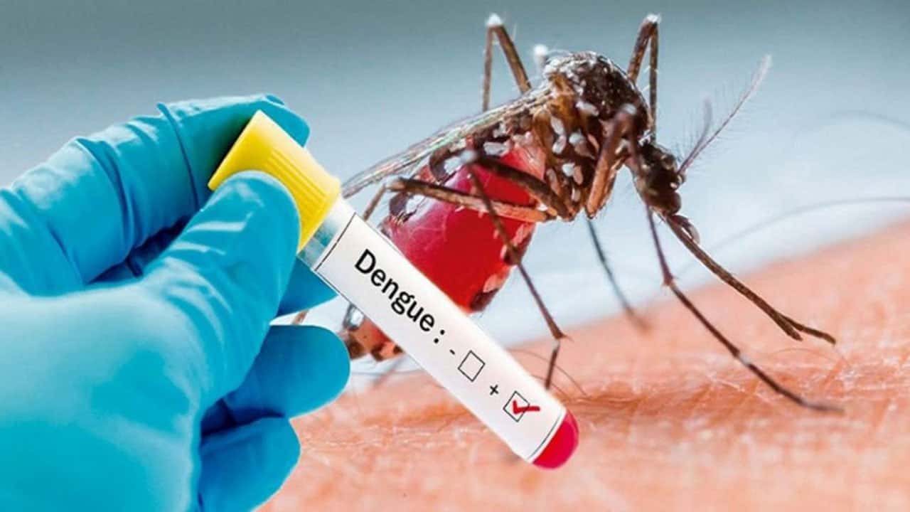 Dengue en la ciudad: La experiencia que tuvieron cuatro pacientes con el virus