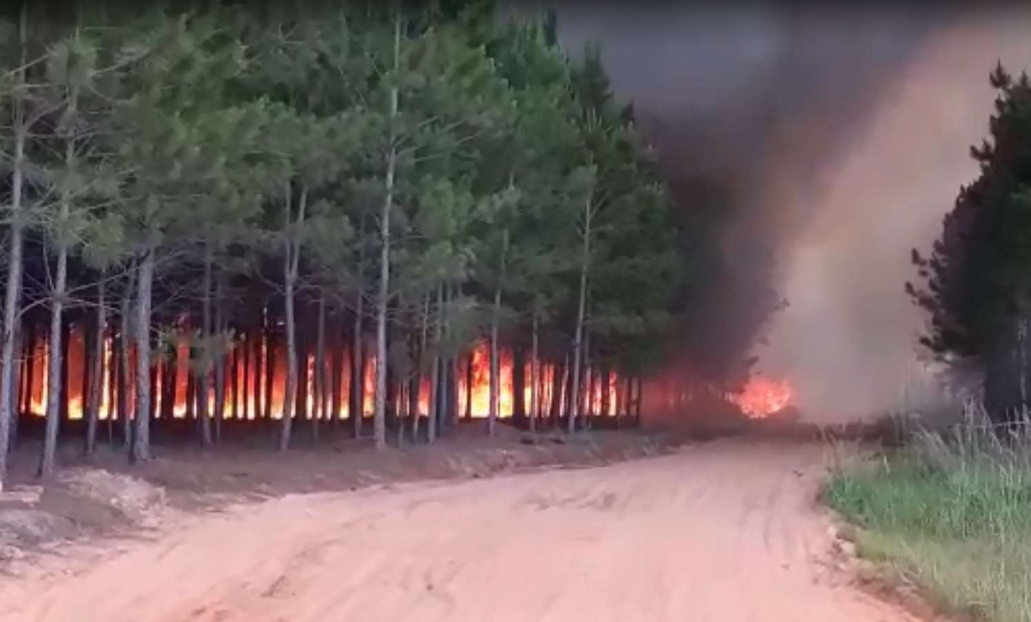 Incendio en Ñandubaysal: Es falso el video que circula por WhatsApp