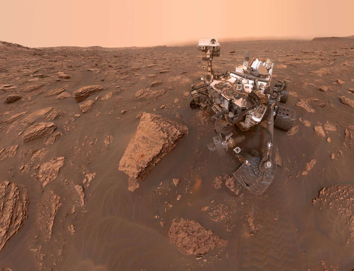 Un científico dice que encontró bichos en Marte; inclusive algunos vivos