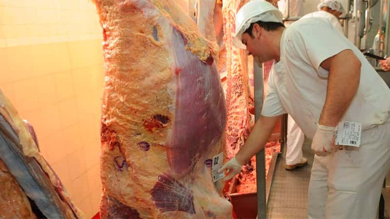 Consideran que "no se justifica" subir retenciones a la exportación de carne