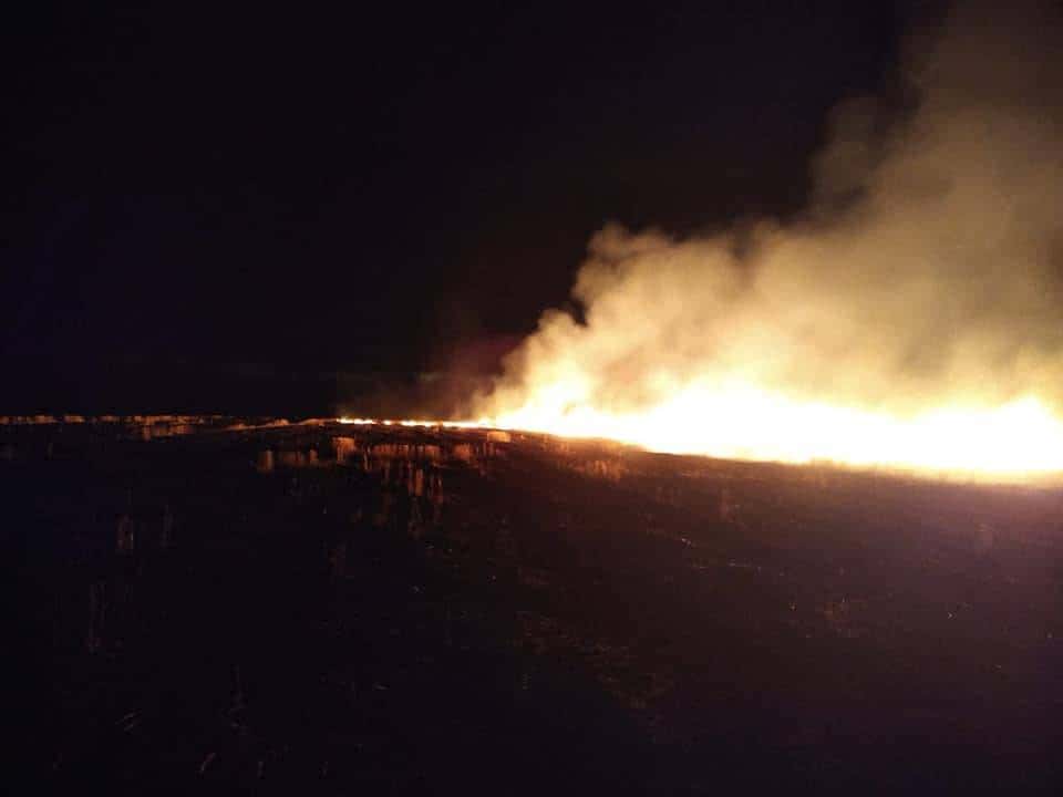 Se prendieron fuego 50 hectáreas en un campo cercano a Aldea San Antonio