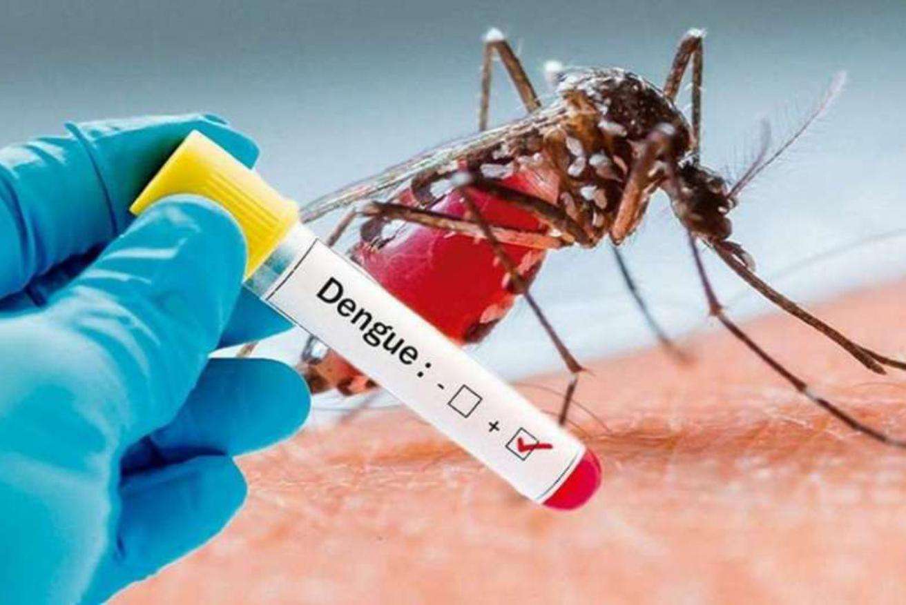 El primero del año: Se confirmó un caso importado de dengue en la provincia