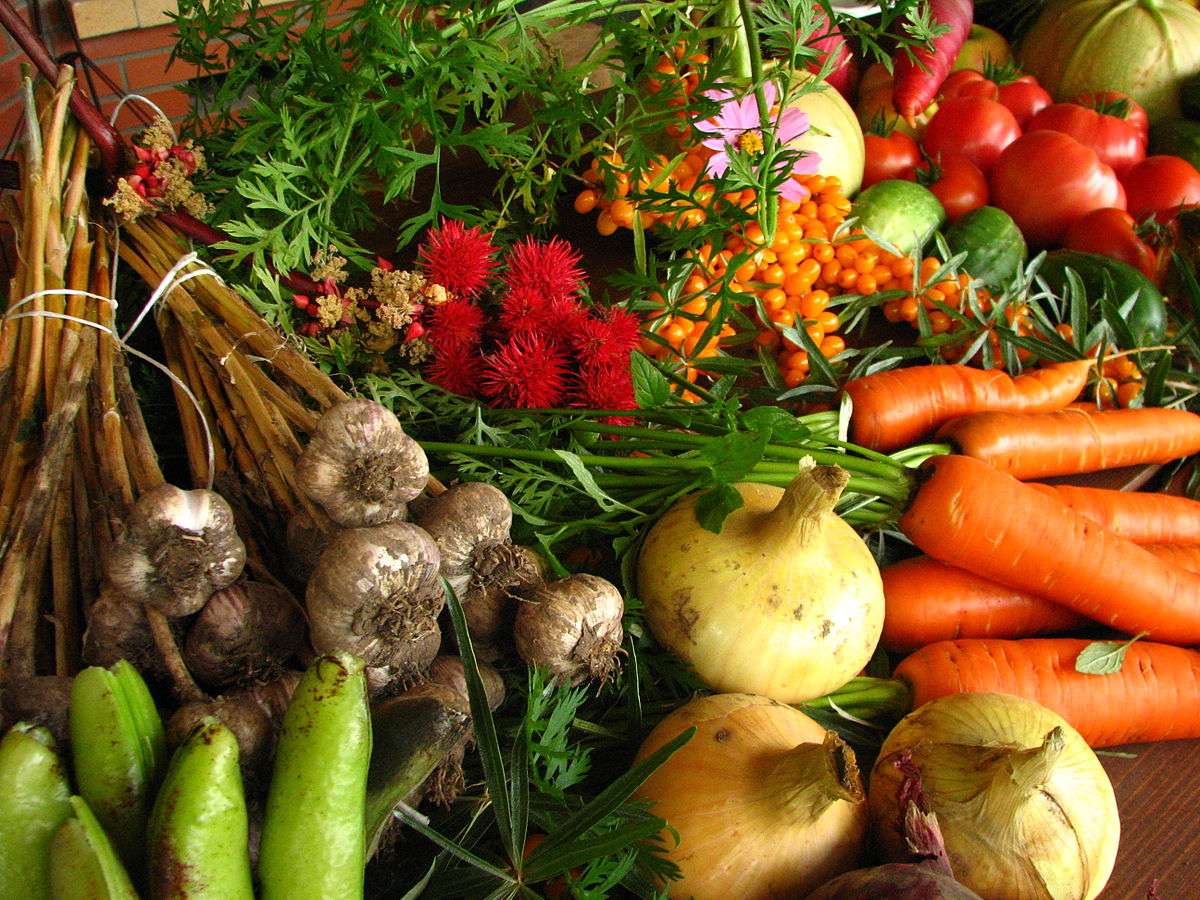 Un diputado solicitó medidas de control para evitar agrotóxicos en frutas y verduras