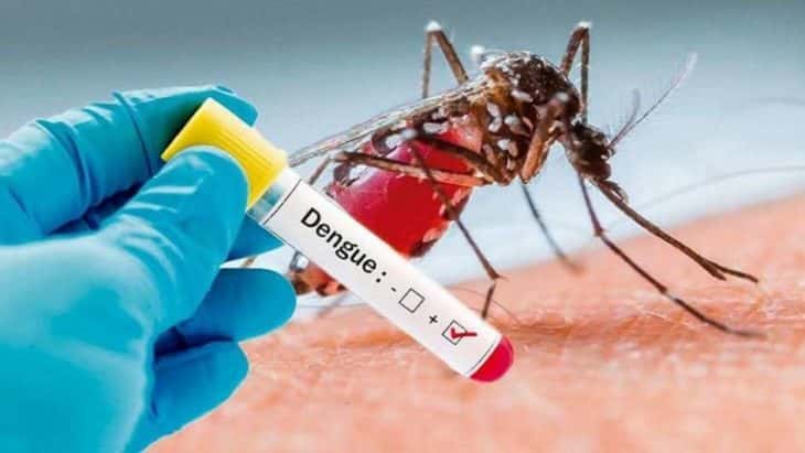 Confirman caso de dengue autóctono en Concordia y ya son ocho en la provincia